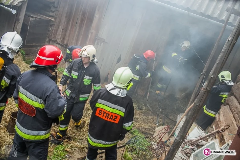 Budynek ocałał, spłonęło tylko siano - zdjęcie 3