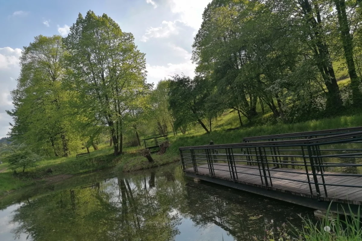 Zielony Dzień Samorządowca - Zagórzańskie Dziedziny na rzecz ekologii