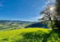 Synoptyczna prognoza pogody na najbliższy tydzień - zdjęcie główne