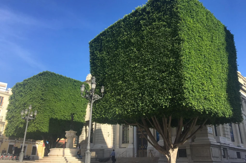 Uczniowie Tischnera podbijają Sevillę - zdjęcie 3