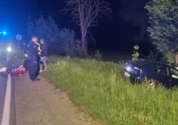 Samochód uderzył w drzewo - zdjęcie główne