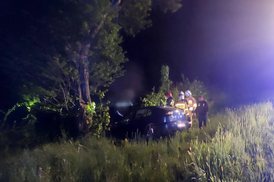 Samochód uderzył w drzewo - zdjęcie 2