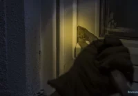 Nieznani sprawcy włamali się do domu wicewojewody, skradziono m.in. legitymację i przepustkę do Sejmu - zdjęcie główne