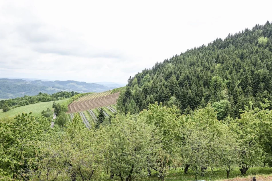 Marszałek odwiedził dom dziecka na Limanowszczyźnie - zdjęcie 19