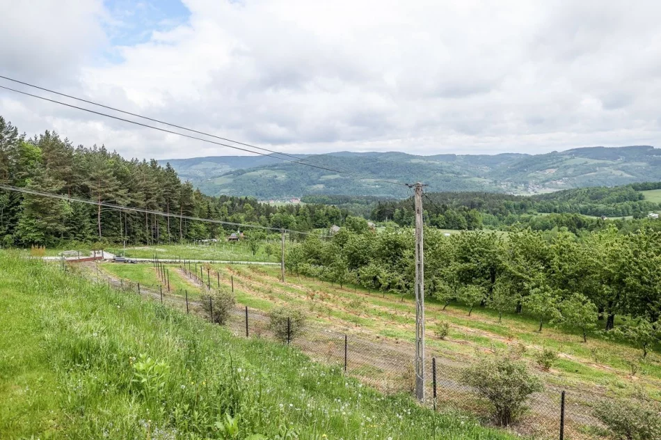Marszałek odwiedził dom dziecka na Limanowszczyźnie - zdjęcie 20