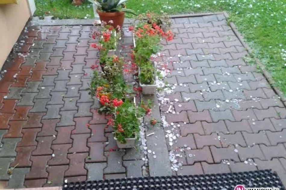 30 wyjazdów straży, 9 zalanych domów - zdjęcie 3