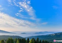 Ostrzeżenie o upałach, temp. do 33 st. C.! - zdjęcie główne