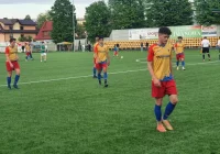 Puszcza opanowana przez Limanovię - zdjęcie główne