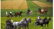 Co i gdzie w ten weekend? - zdjęcie 2