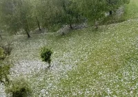 Skutki gradobicia - straty w sadach, uszkodzone samochody, zniszczona elewacja - zdjęcie główne