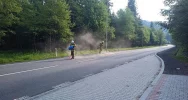 Zderzenie trzech pojazdów na drodze wojewódzkiej - zdjęcie 2