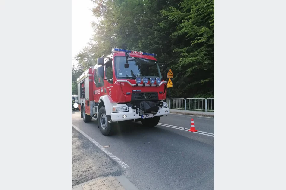 Zderzenie trzech pojazdów na drodze wojewódzkiej - zdjęcie 3