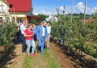 „Gradobicie, jakiego nie pamiętają doświadczeni sadownicy” - zdjęcie główne