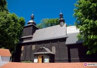 Dzięki nietoperzom wyremontują dachy - zdjęcie główne