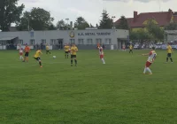 Tokarz rozprawił się z Metalem. Limanovia wygrała w Tarnowie po dobrym meczu. - zdjęcie główne