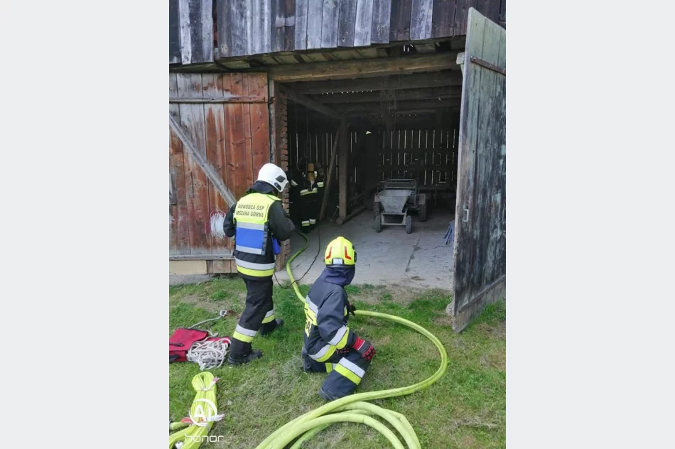 Pracowita sobota strażaków - ćwiczenia i interwencje - zdjęcie 5