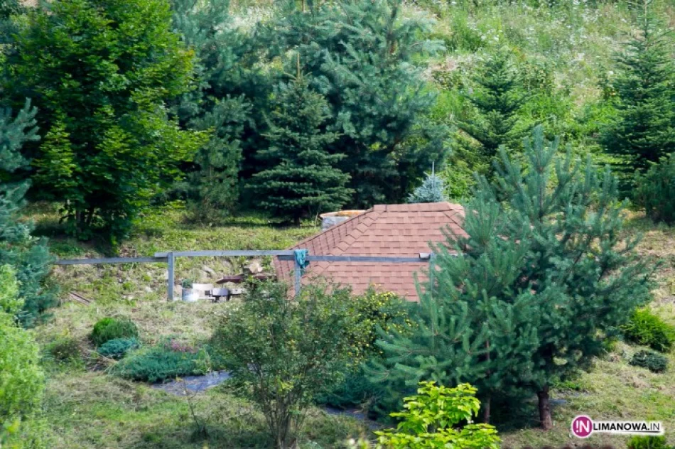 Zawaliła się altana, śmigłowiec na pomoc - zdjęcie 2