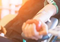 Druhowie zapraszają na zbiórkę krwi - zdjęcie główne