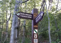 Park zaprasza na edukacyjne ścieżki - zdjęcie główne