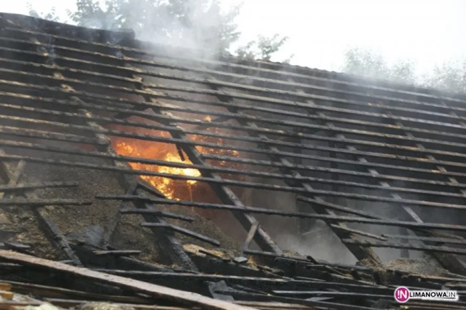 Pożar - w dach stolarni uderzył piorun - zdjęcie 3