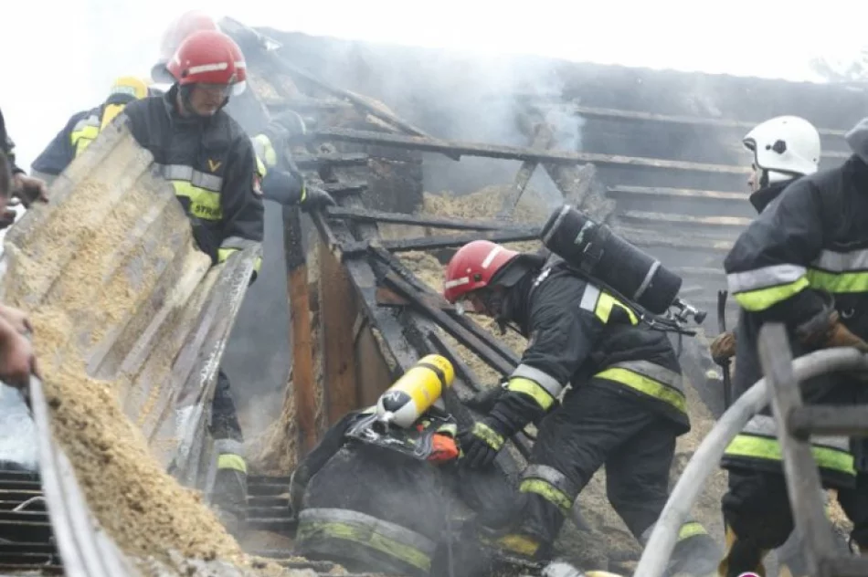 Pożar - w dach stolarni uderzył piorun - zdjęcie 4