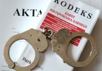 20 listów gończych i ekstradycja - zdjęcie główne