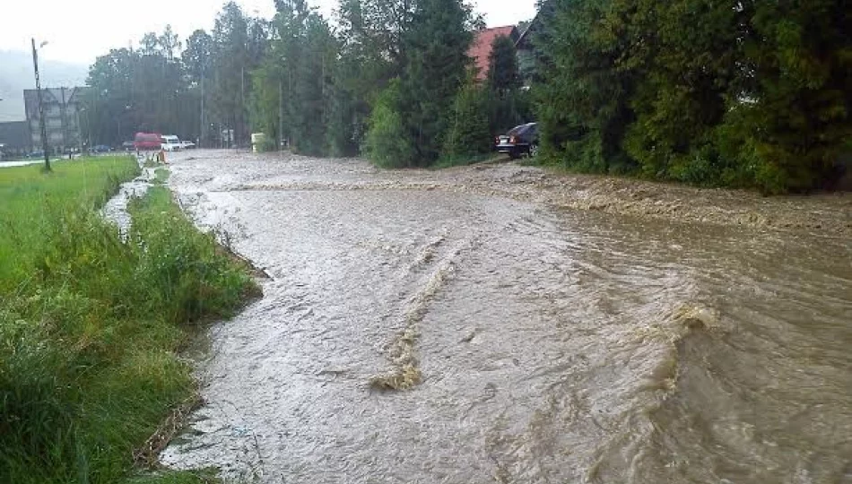 Nawałnica nad Porębą. Interwencje straży - zdjęcie 1