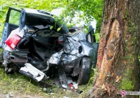 Samochód uderzył w drzewo - zdjęcie główne