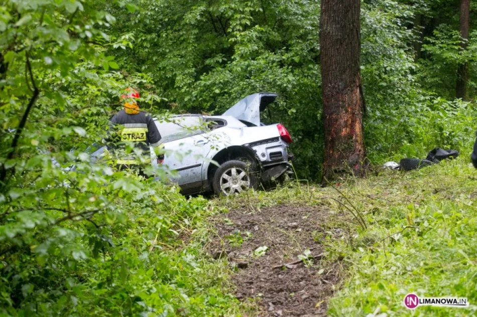 Samochód uderzył w drzewo - zdjęcie 2