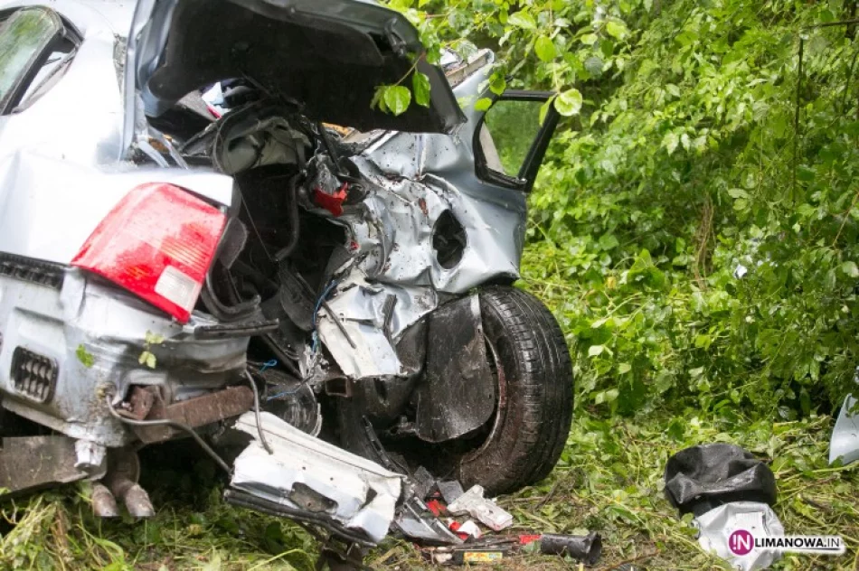 Samochód uderzył w drzewo - zdjęcie 3