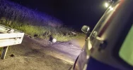 Motocyklista zderzył się z sarną - zdjęcie 2
