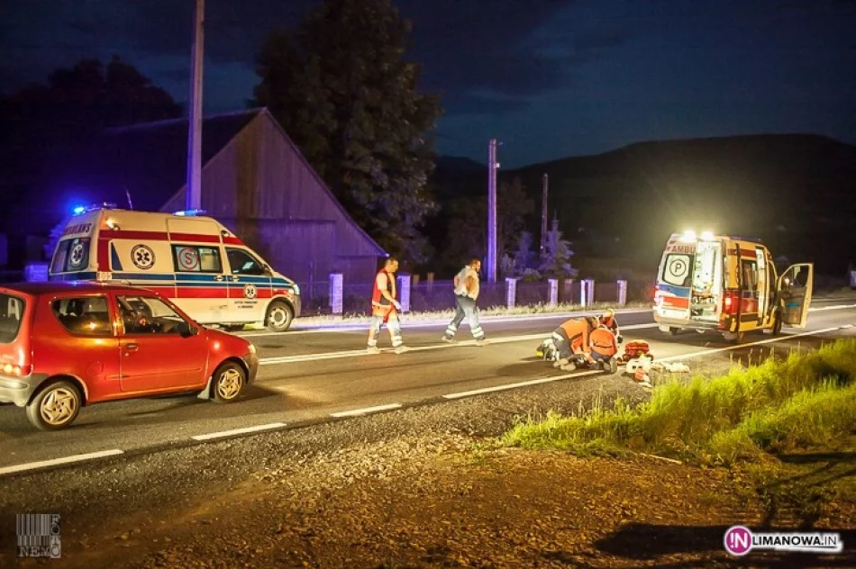 Śmiertelne potrącenie, kierowca uciekł - zdjęcie 2