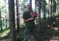 Prawdziwek ważył ponad 2 kg - zdjęcie główne