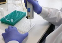 Coraz więcej przypadków wariantu delta, ale nadal jest on w mniejszości - zdjęcie główne