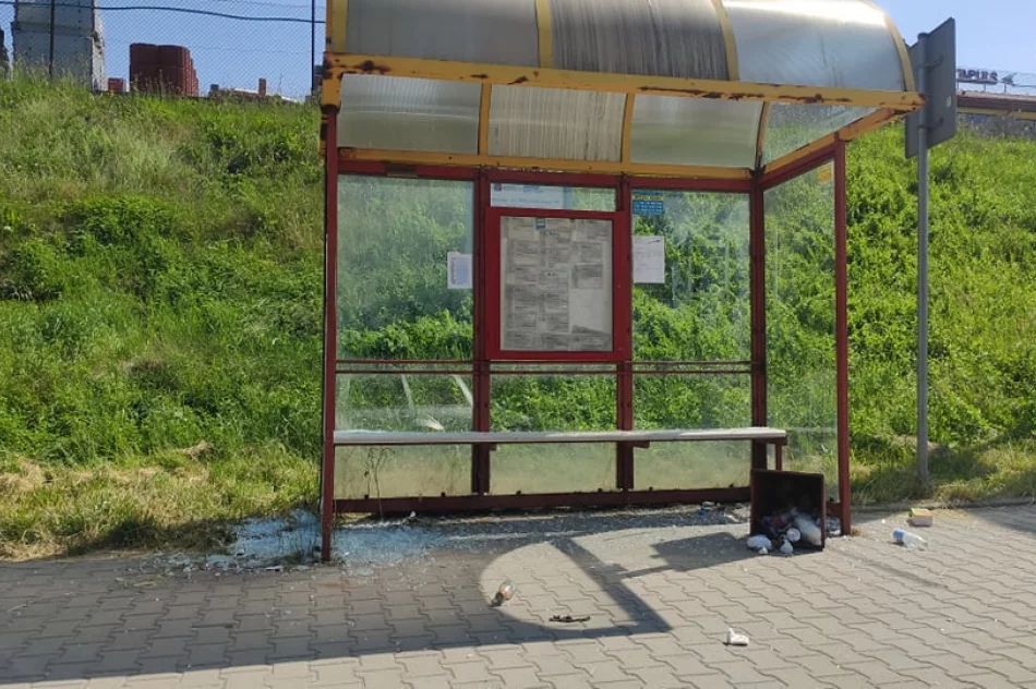 Akty wandalizmu w centrum miasta  - zdjęcie 4