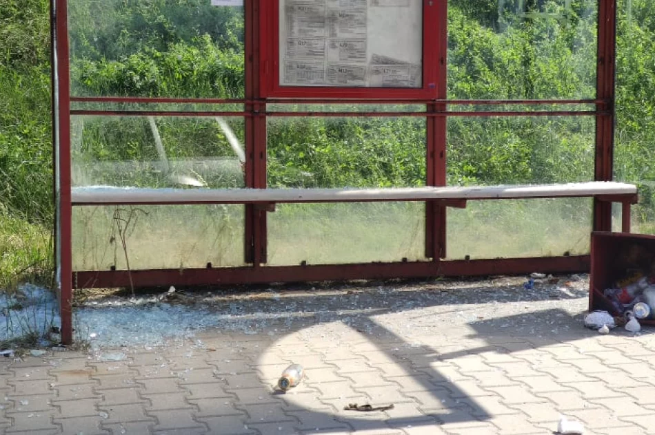 Akty wandalizmu w centrum miasta  - zdjęcie 5