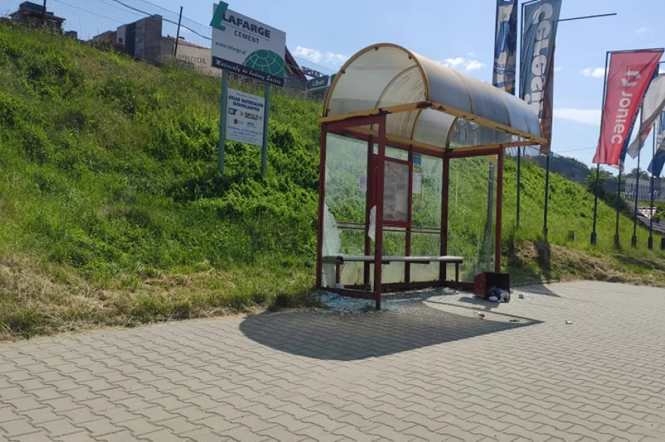 Akty wandalizmu w centrum miasta  - zdjęcie 6