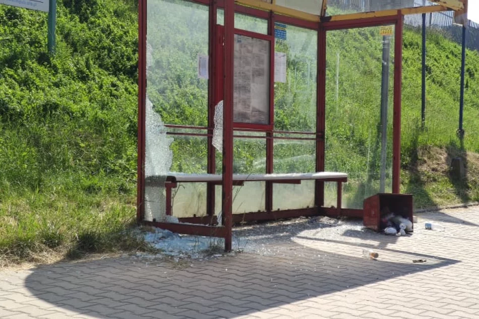 Akty wandalizmu w centrum miasta  - zdjęcie 7