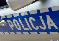 Konar uderzył w samochód- policja ostrzega - zdjęcie główne