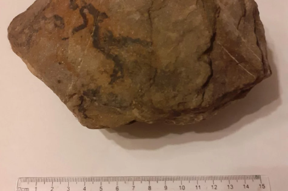 Poznali tajniki archeologii - zdjęcie 2