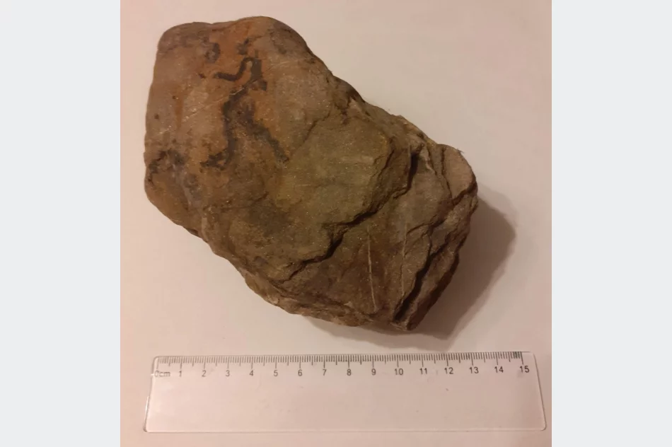 Poznali tajniki archeologii - zdjęcie 3