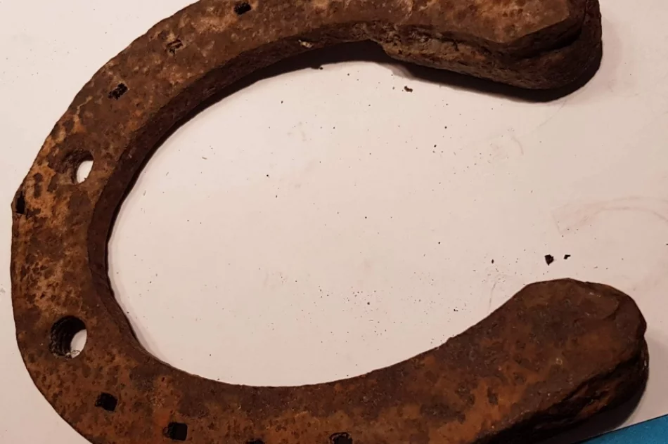 Poznali tajniki archeologii - zdjęcie 6