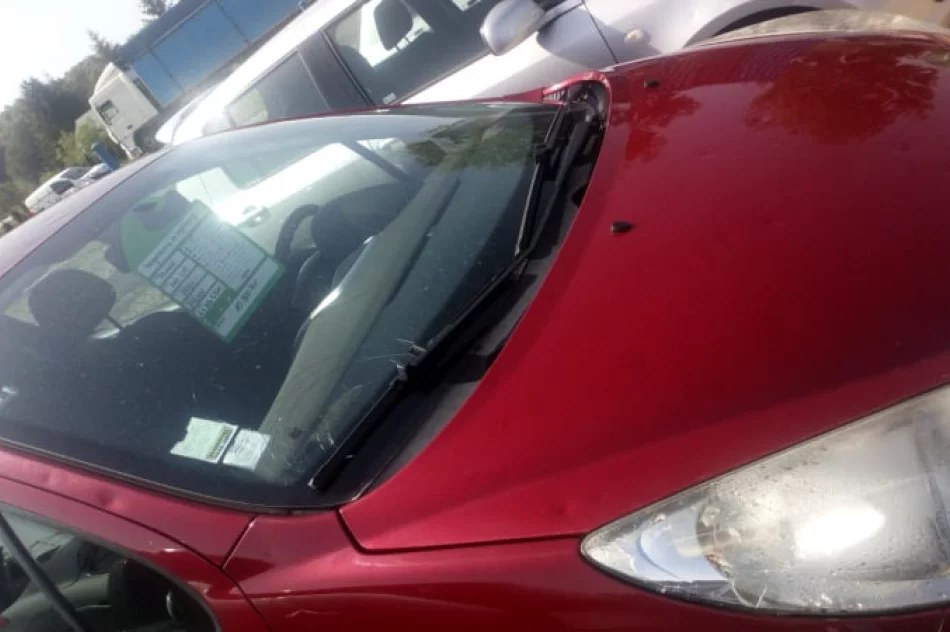 Przedsiębiorcy liczą straty z powodu gradobicia - zdjęcie 4