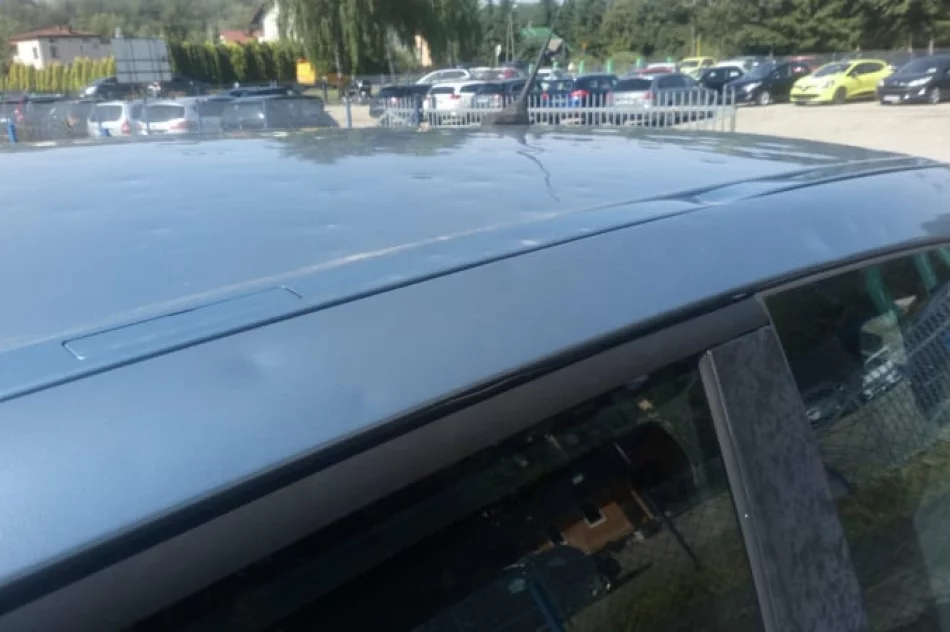 Przedsiębiorcy liczą straty z powodu gradobicia - zdjęcie 5