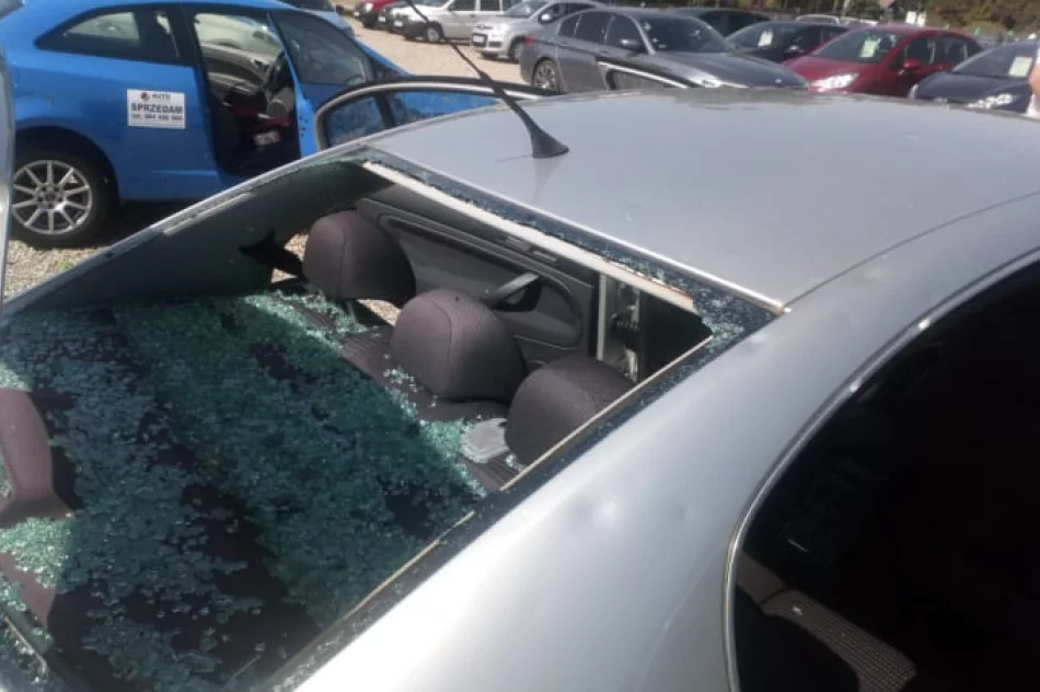 Przedsiębiorcy liczą straty z powodu gradobicia - zdjęcie 6