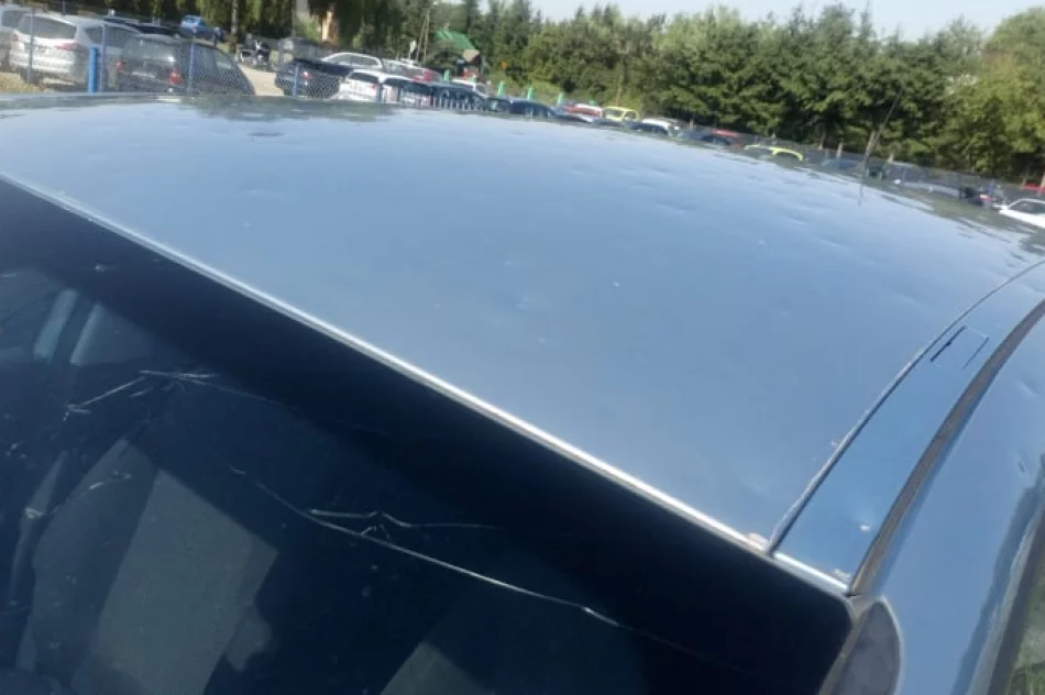 Przedsiębiorcy liczą straty z powodu gradobicia - zdjęcie 8