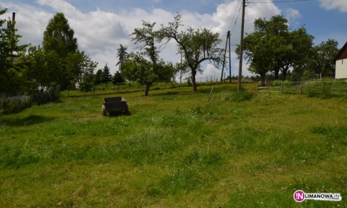 Śmigłowiec lądował na drodze na ratunek kobiecie