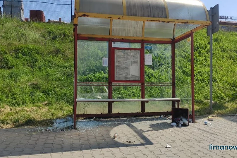 Policjanci zatrzymali 19-letniego wandala - zdjęcie 4