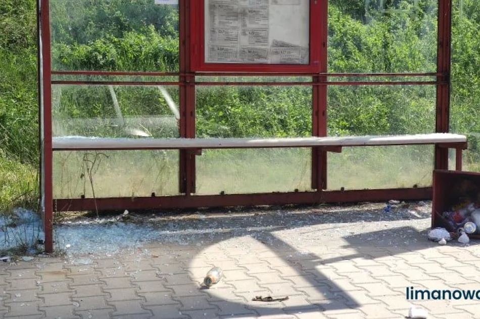 Policjanci zatrzymali 19-letniego wandala - zdjęcie 5