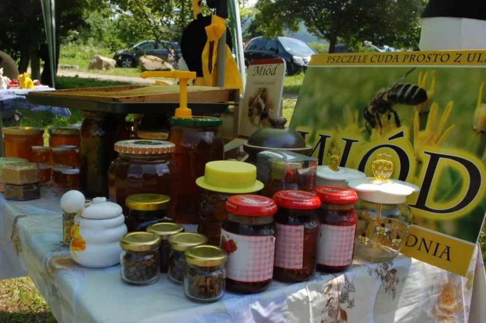 Podczas pikniku poznawali gorczańską przyrodę - zdjęcie 14